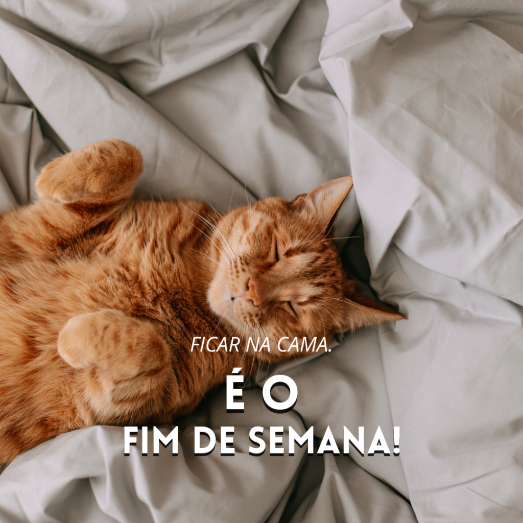 Português (26)